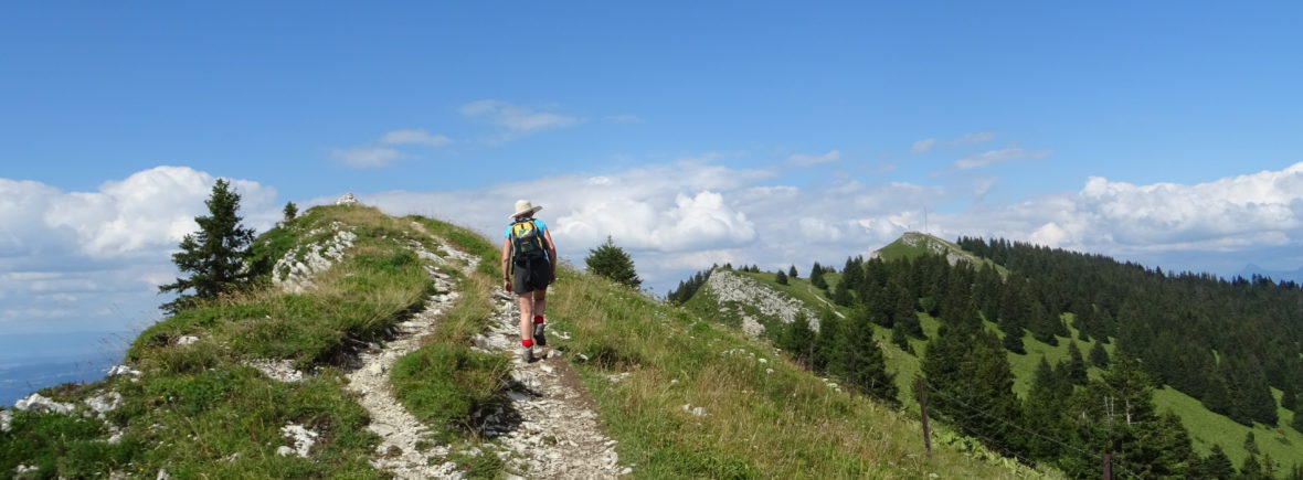 Chemin de montagne